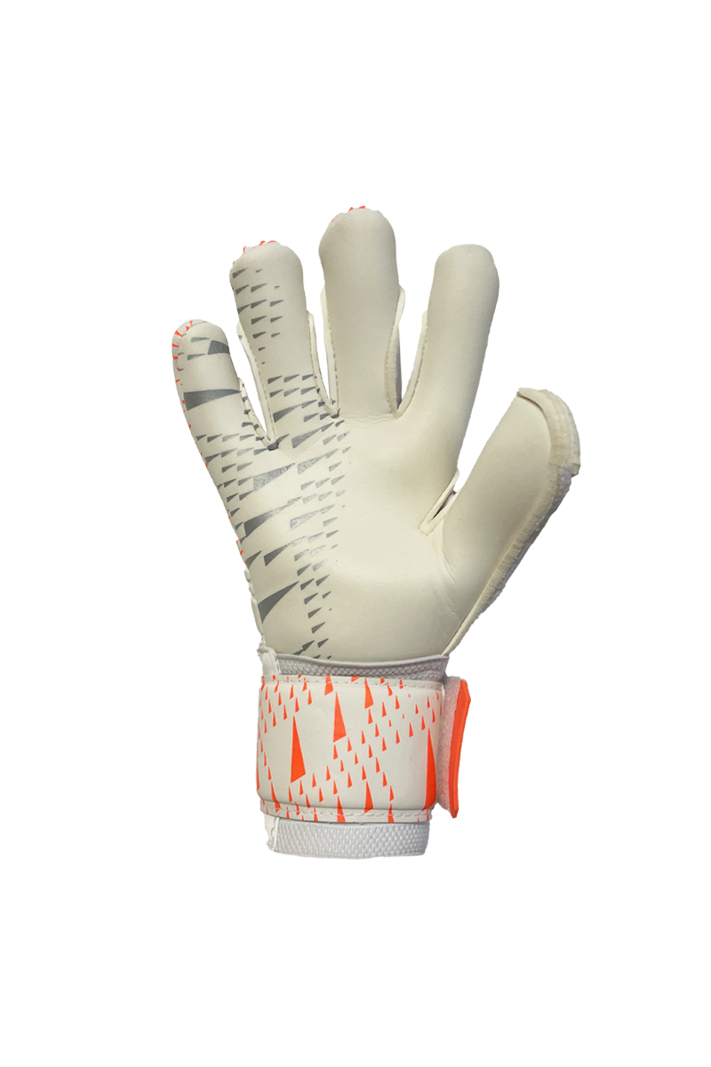 Amsport DARK-OWL HYLA - Image 3